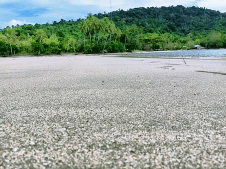 pantai-cenderawasih-besut-terengganu beach