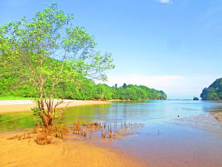pantai-clungup-malang-east-java beach