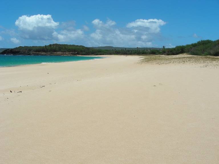 papohaku-beach-maunaloa-hawaii beach