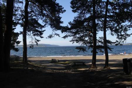 paradisbukta-oslo beach