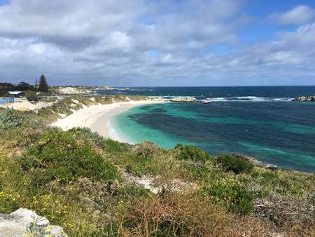 pinkie-beach-rottnest-island-western-australia beach