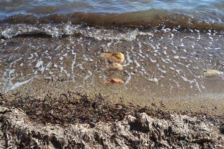 platja-de-la-solsida-altea-valencian-community beach