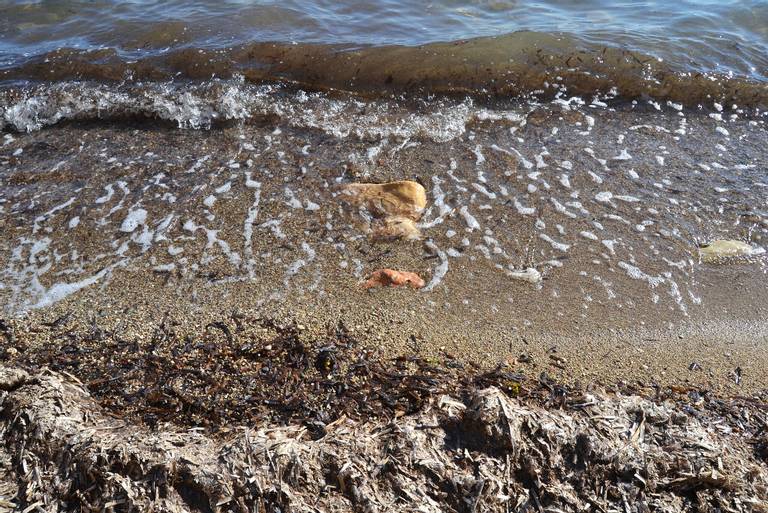 platja-de-la-solsida-altea-valencian-community beach