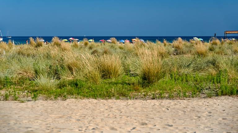 platja-de-la-paella-torredembarra-catalonia beach