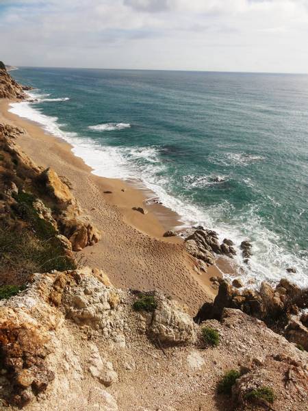 platja-de-les-roques-calella-de-palafrugell-catalonia beach
