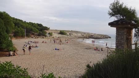 platja-dels-capellans-i-canyadell-torredembarra-catalonia beach