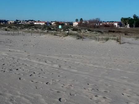 platja-nudista-torredembarra-catalonia beach