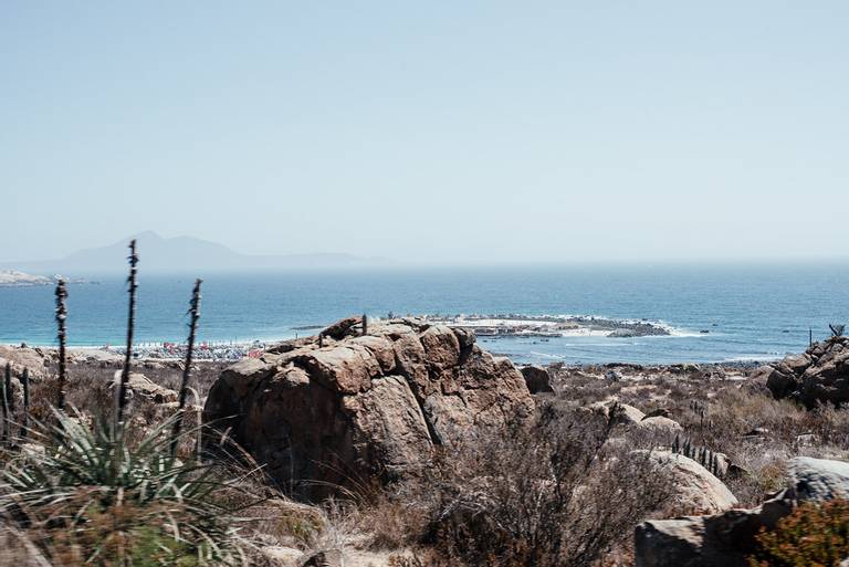 playa-totoralillo-coquimbo-coquimbo-region beach