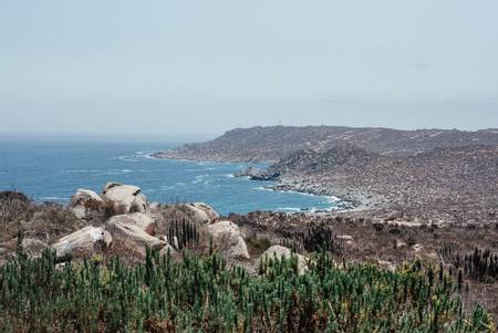 playa-totoralillo-coquimbo-coquimbo-region beach