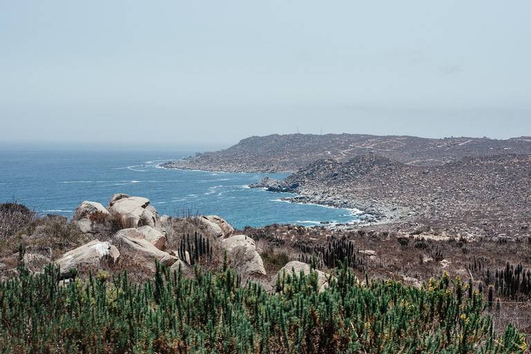 playa-totoralillo-coquimbo-coquimbo-region beach