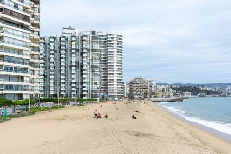 playa-acapulco-vi%C3%B1a-del-mar-valparaiso-region beach