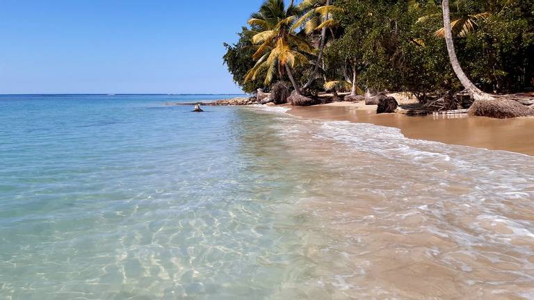 playa-bonita-las-terrenas beach