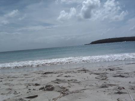 playa-caracas-puerto-ferro-vieques beach