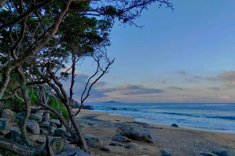 playa-carricitos-sayulita beach