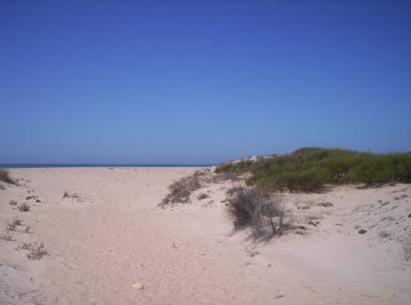 playa-de-camposoto-san-fernando-andalusia beach