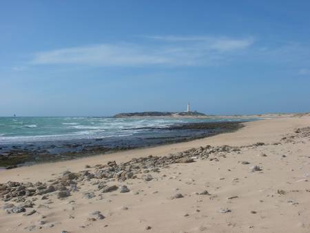playa-de-ca%C3%B1os-de-meca-barbate-andalusia beach