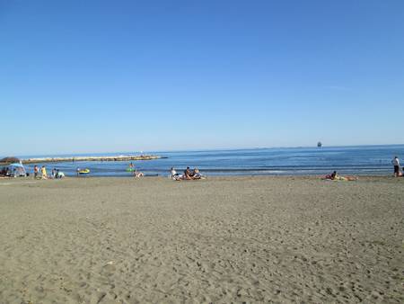 playa-de-el-palo-m%C3%A1laga-andalusia beach
