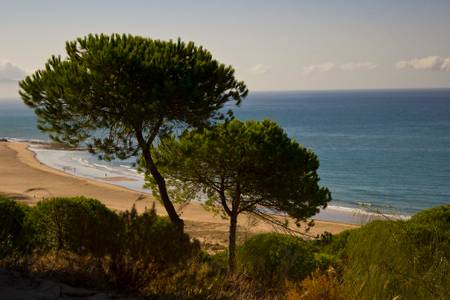 playa-de-la-yerbabuena-barbate-andalusia beach
