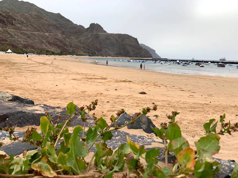 playa-de-las-teresitas-santa-cruz-de-tenerife beach