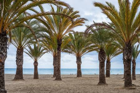 playa-de-levante-santa-pola-valencian-community beach