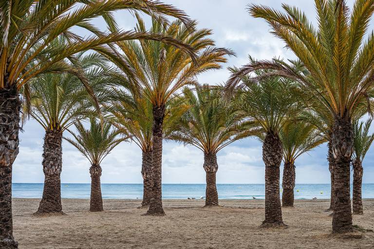 playa-de-levante-santa-pola-valencian-community beach