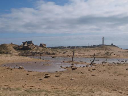 playa-de-los-ca%C3%B1os-de-meca-barbate-andalusia beach