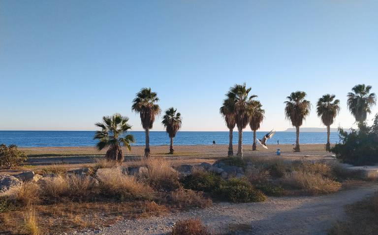 playa-de-san-gabriel-alicante-valencian-community beach