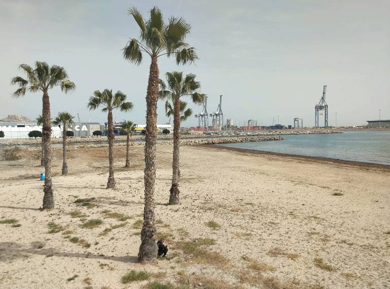 playa-de-san-gabriel-alicante-valencian-community beach