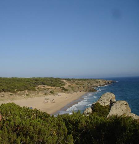 playa-del-ca%C3%B1uelo-tarifa-andalusia beach