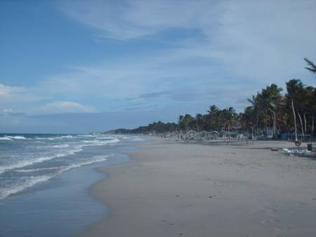 playa-el-agua-antolin-del-campo-nueva-esparta beach
