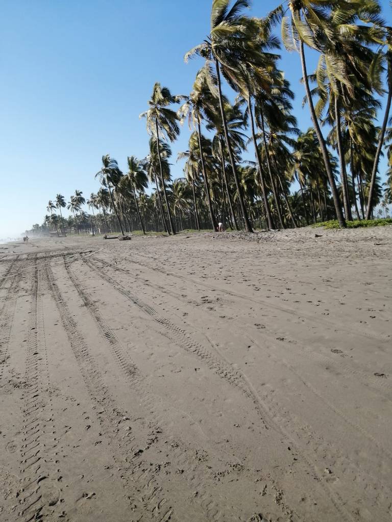 playa-erendira-lazaro-cardenas-michoacan beach