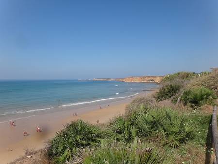 playa-fuente-del-gallo-conil-de-la-frontera-andalusia beach