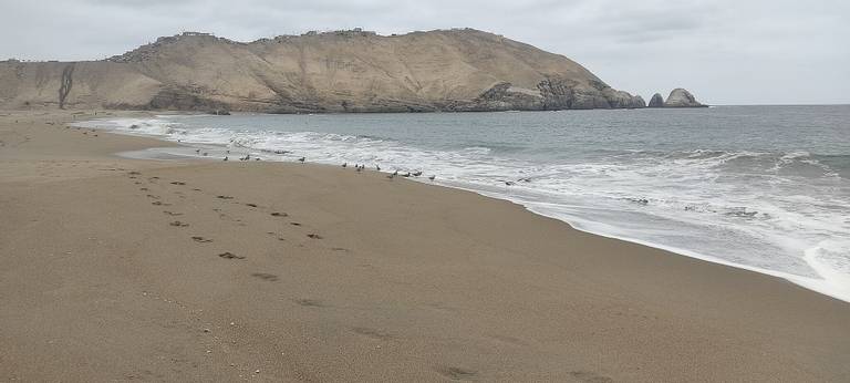 playa-la-chira-chorrillos-lima beach