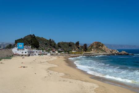 playa-las-salinas-vi%C3%B1a-del-mar-valparaiso-region beach