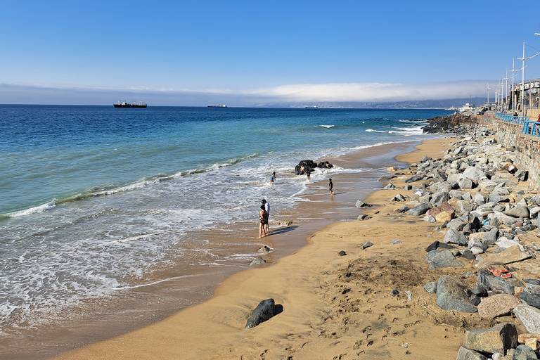 playa-los-placeres-valpara%C3%ADso-valparaiso-region beach