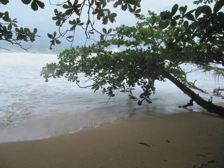 playa-manzanillo-cahuita-lim%C3%B3n-province beach