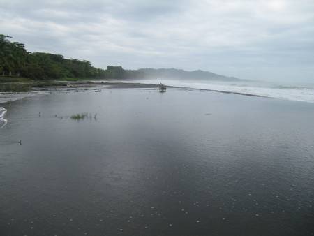 playa-negra-cahuita-lim%C3%B3n-province beach