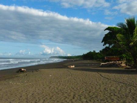 playa-ostional-ostional-guanacaste-province beach