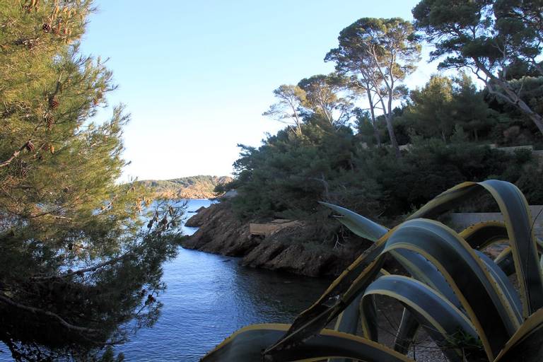 plage-calanque-du-petit-mugel-la-ciotat-provence-alpes-c%C3%B4te-dazur beach