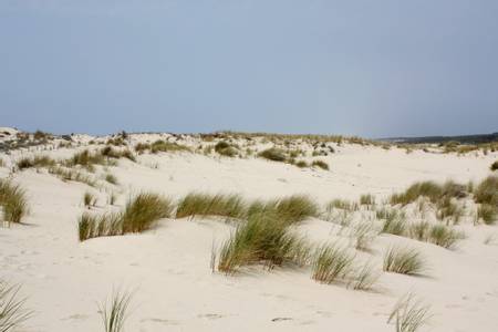 plage-centrale-du-porge-le-gressier-le-porge-oc%C3%A9an-nouvelle-aquitaine beach