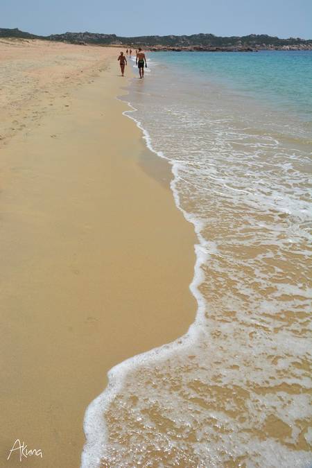 plage-dargent-sart%C3%A8ne-corsica beach