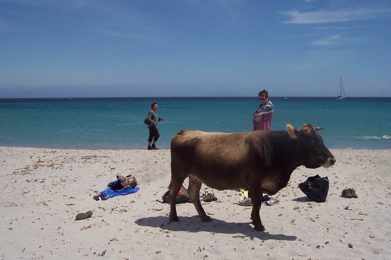 plage-de-tamarone-macinaggio-corsica beach