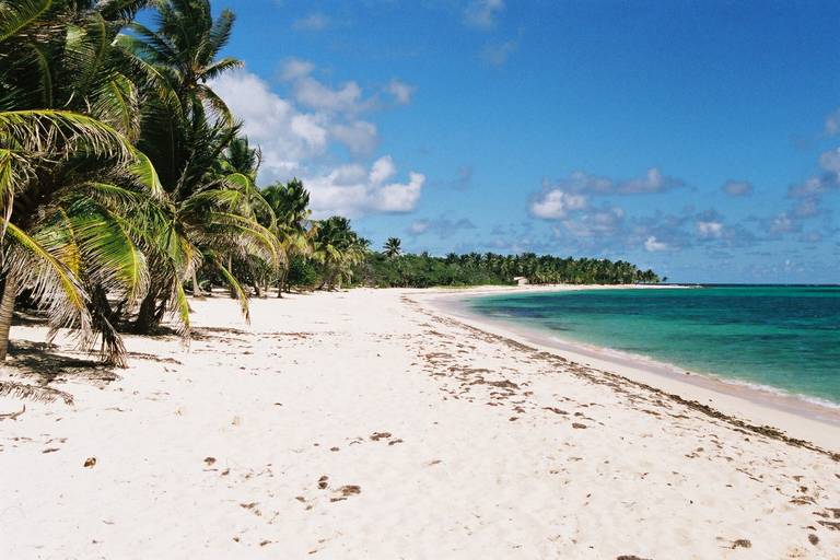 plage-de-la-feuillere-capesterre-de-marie-galante beach