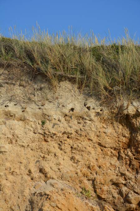 plage-de-perzic-le-conquet-brittany beach