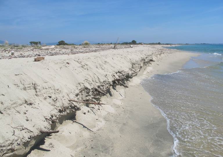 plage-de-quarcione-serra-di-fiumorbo-corsica beach