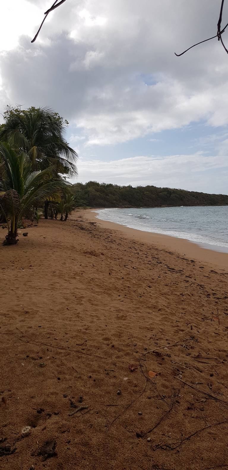 plage-des-amandiers-sainte-rose-basse-terre beach