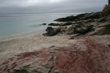 plage-des-sables-rouges-groix-brittany beach