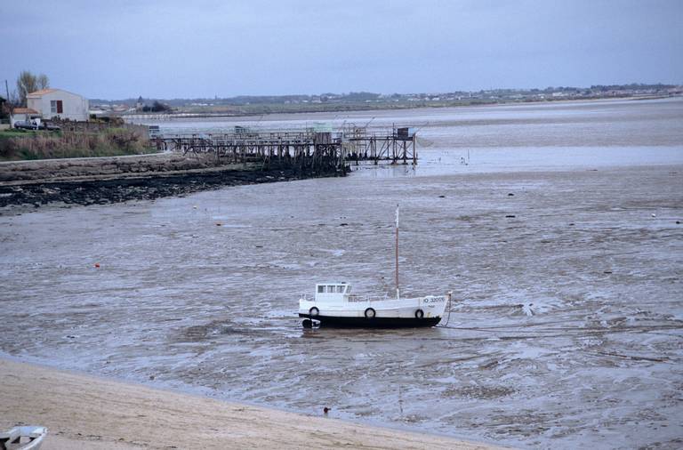 plage-sud-fouras-nouvelle-aquitaine beach