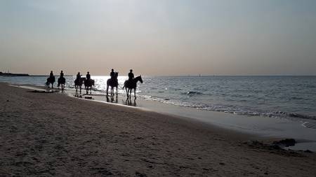 pla%C5%BCa-wschodnia-ustka-pomeranian-voivodeship beach