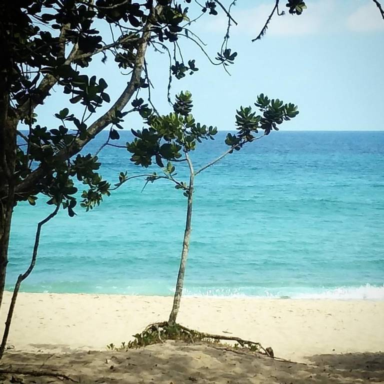 praia-vermelha-do-centro-ubatuba-state-of-sao-paulo beach